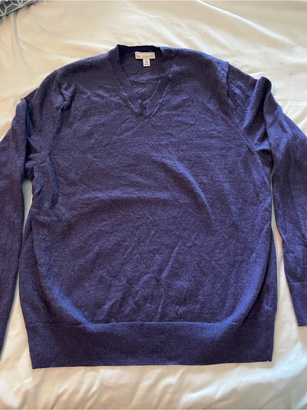 GAP Men's V-Neck High Wool Sweater in Deep Purple